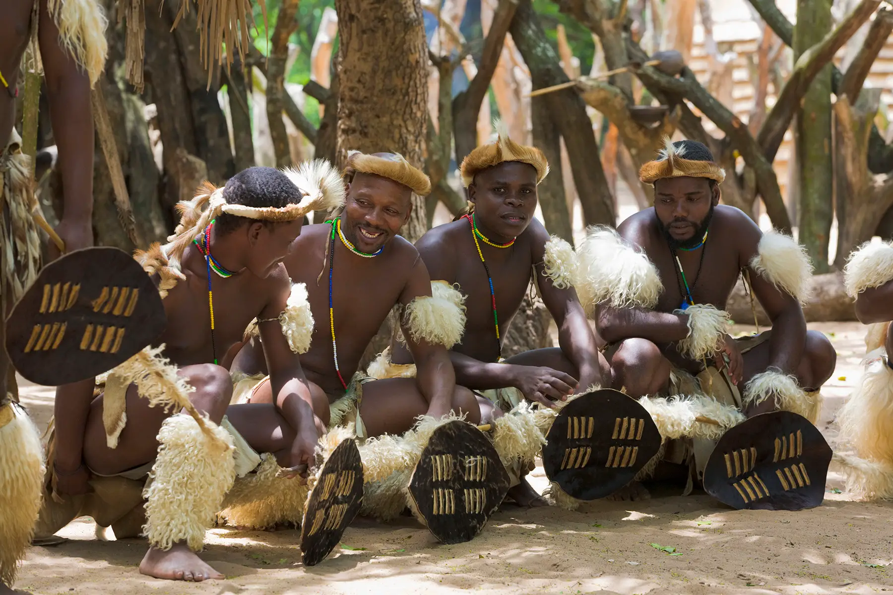 Four men, crouching in traditional Zulu warrior dress and weapons in KwaZulu Natal, South Africa